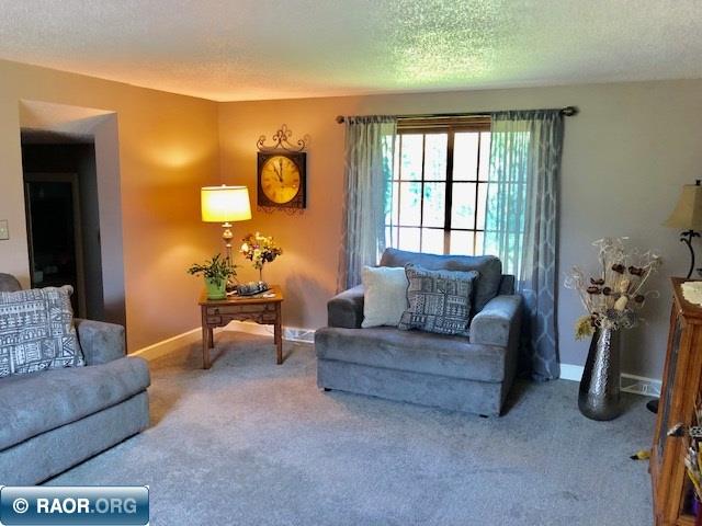 7506 Seibert Road Embarrass, MN 55732 - Photo 6 of 18