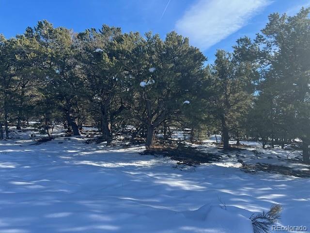 a view of road with trees