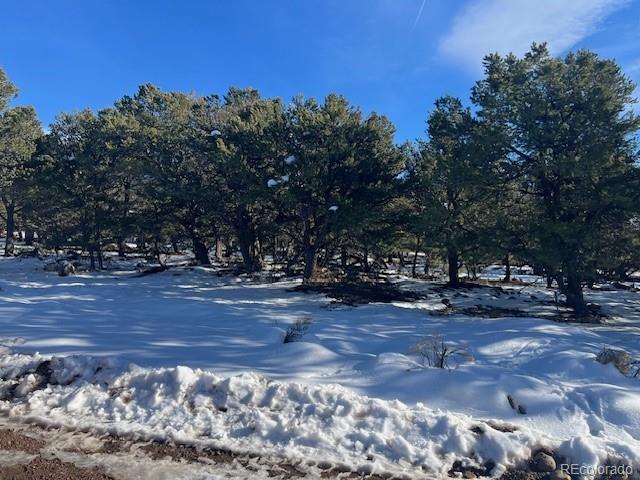 3952 Cheerful Place Crestone, CO 81131 - Photo 2 of 5 a view of a tree in the middle of a yard