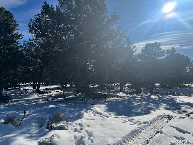 3952 Cheerful Place Crestone, CO 81131 - Photo 3 of 5 a view of a backyard of a house