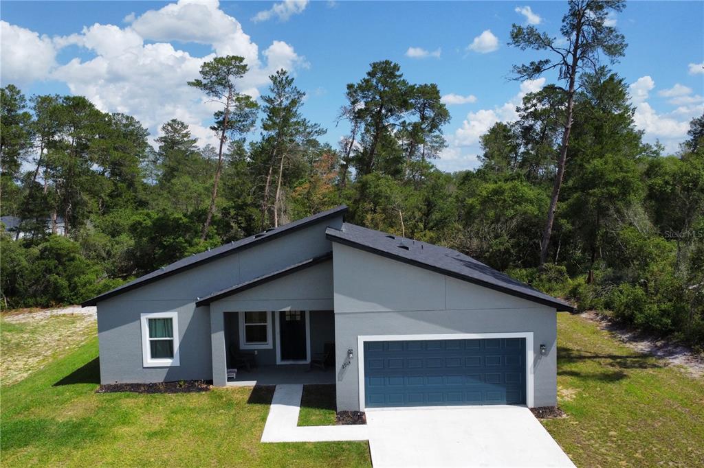 2914 Southwest 162nd Street Road Ocala, FL 34473 - Photo 42 of 47 a backyard of a house with lots of green space
