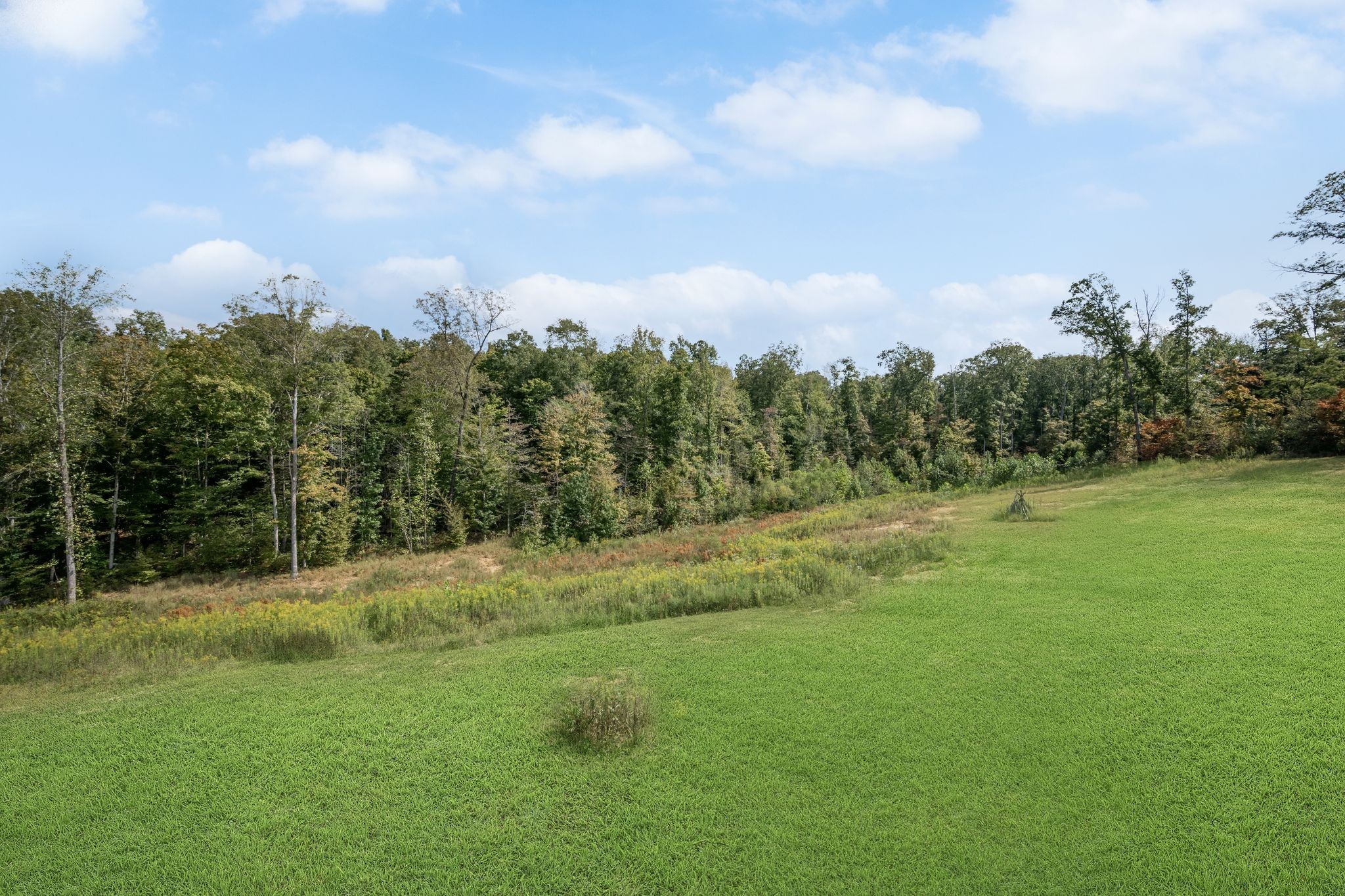 298 Langford Road Waverly, TN 37185 - Photo 39 of 53 a view of a field with trees in the background