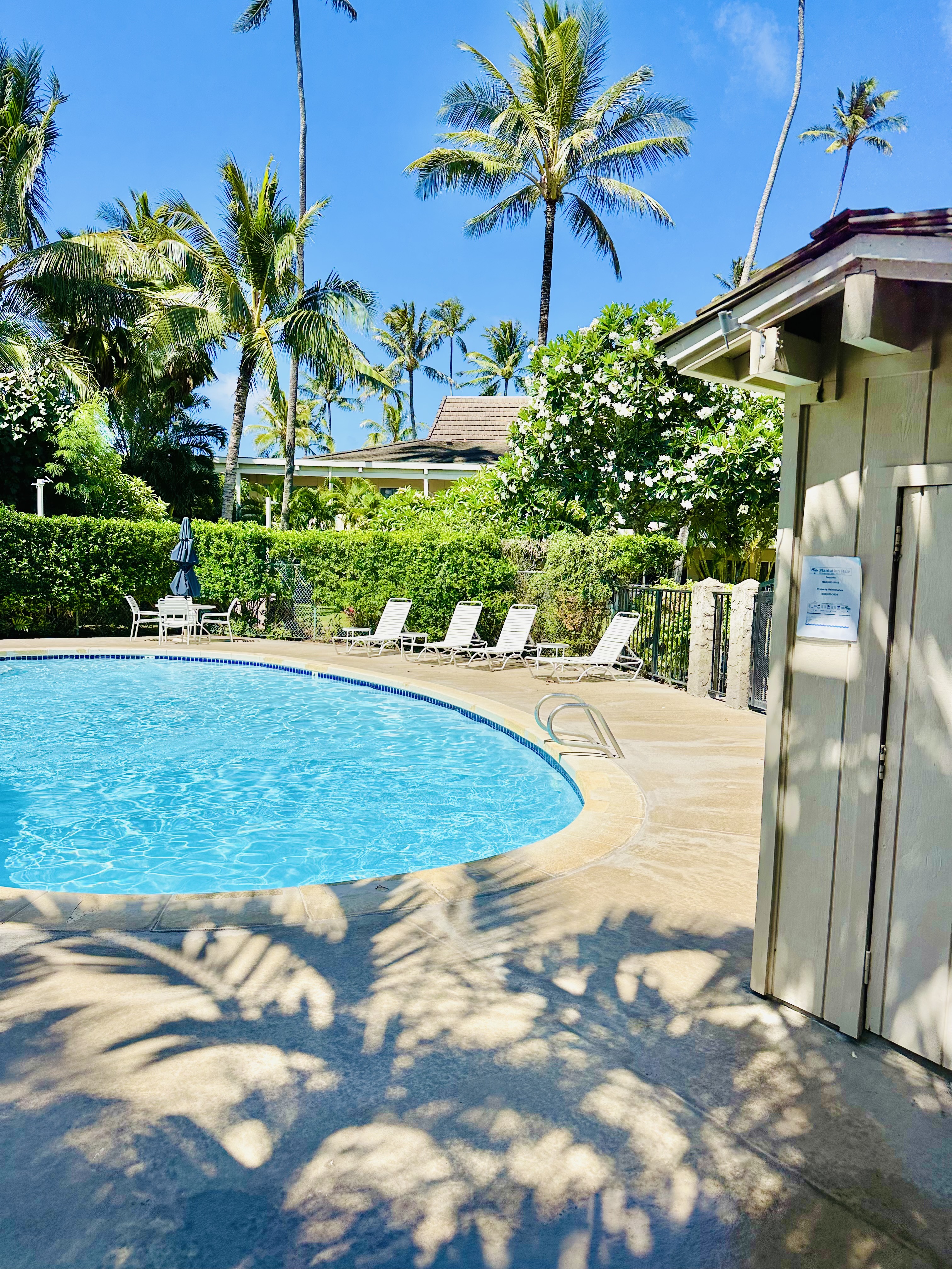 525 Aleka Loop, Unit A2 Kapaa, HI 96746 - Photo 21 of 21