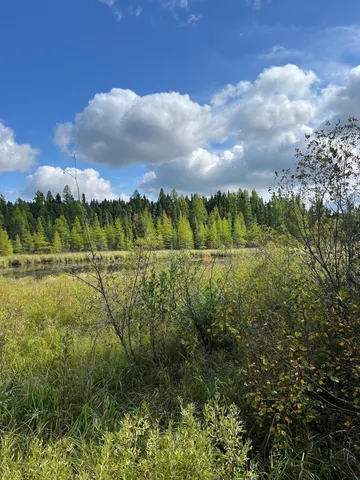 $249,000 | 3 West Ray Mn 56669, Kabetogama, MN 56669