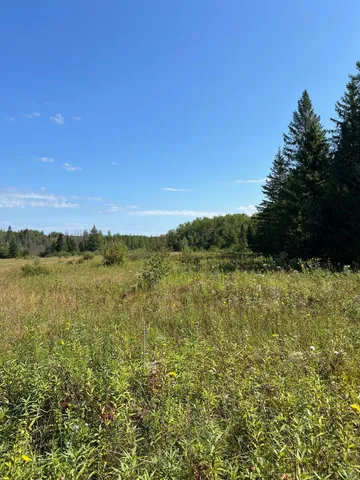 $249,000 | 3 West Ray Mn 56669, Kabetogama, MN 56669