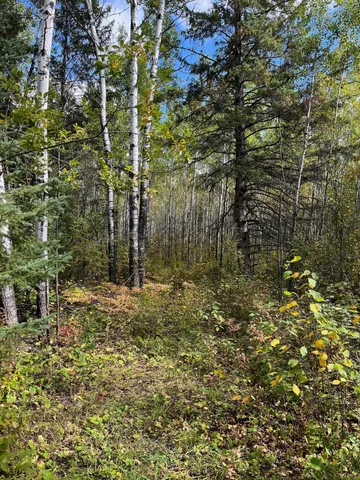 $249,000 | 3 West Ray Mn 56669, Kabetogama, MN 56669