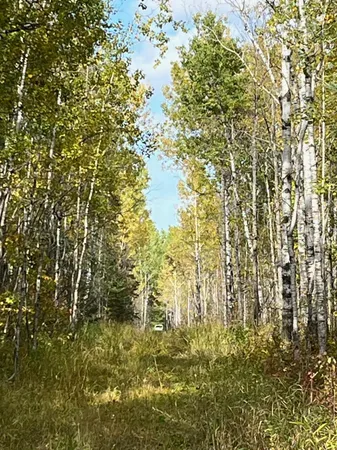 $249,000 | 3 West Ray Mn 56669, Kabetogama, MN 56669