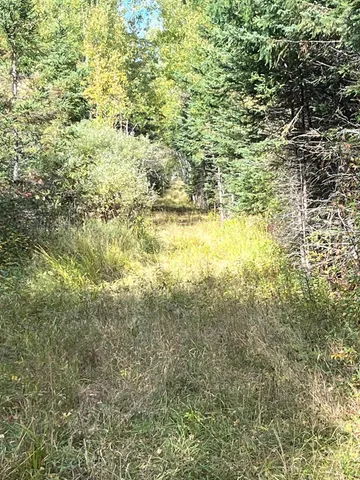 $249,000 | 3 West Ray Mn 56669, Kabetogama, MN 56669