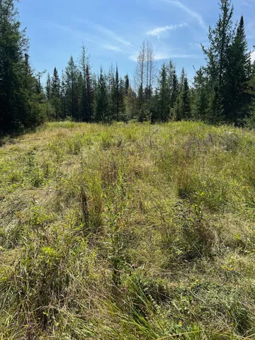 $249,000 | 3 West Ray Mn 56669, Kabetogama, MN 56669