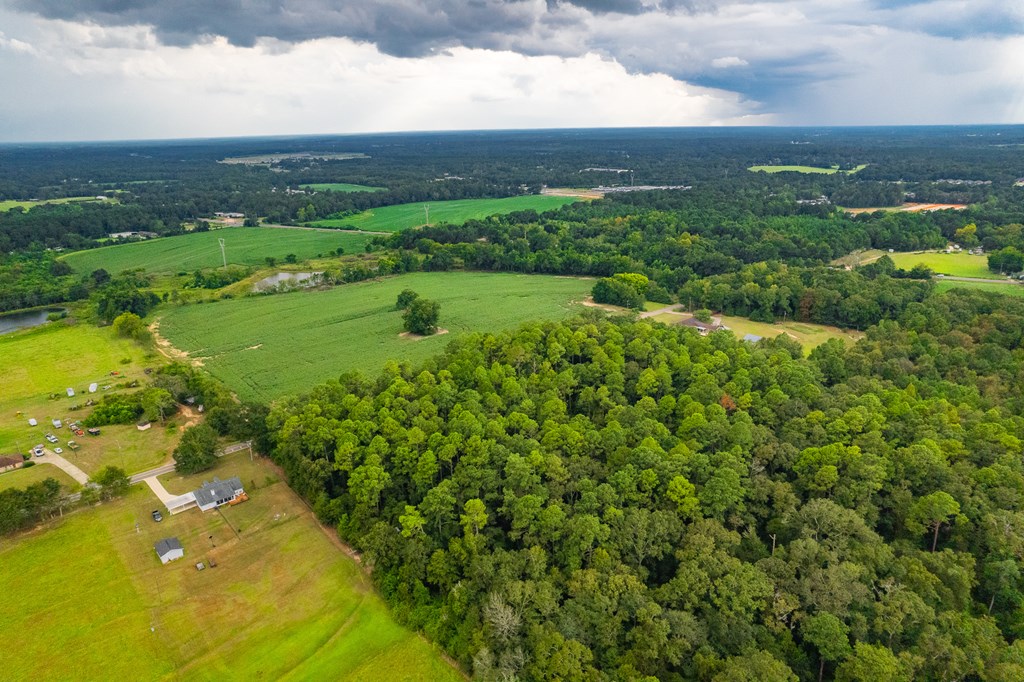 0 East Wayne Road Dothan, AL 36301 - Photo 11 of 18
