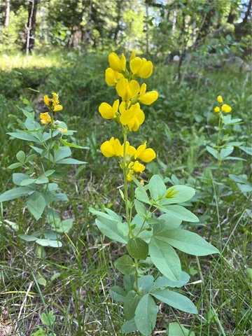 $710,000 | 13963 North Trail Circle, Littleton, CO 80127