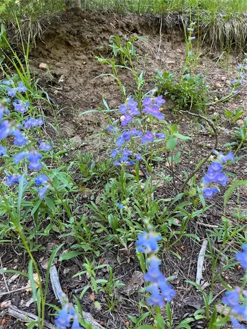 $710,000 | 13963 North Trail Circle, Littleton, CO 80127