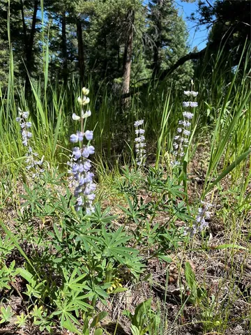 $710,000 | 13963 North Trail Circle, Littleton, CO 80127