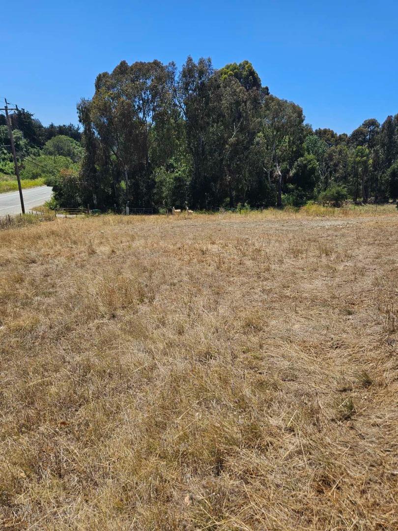 603 Carpenteria Road Aromas, CA 95004 - Photo 5 of 24
