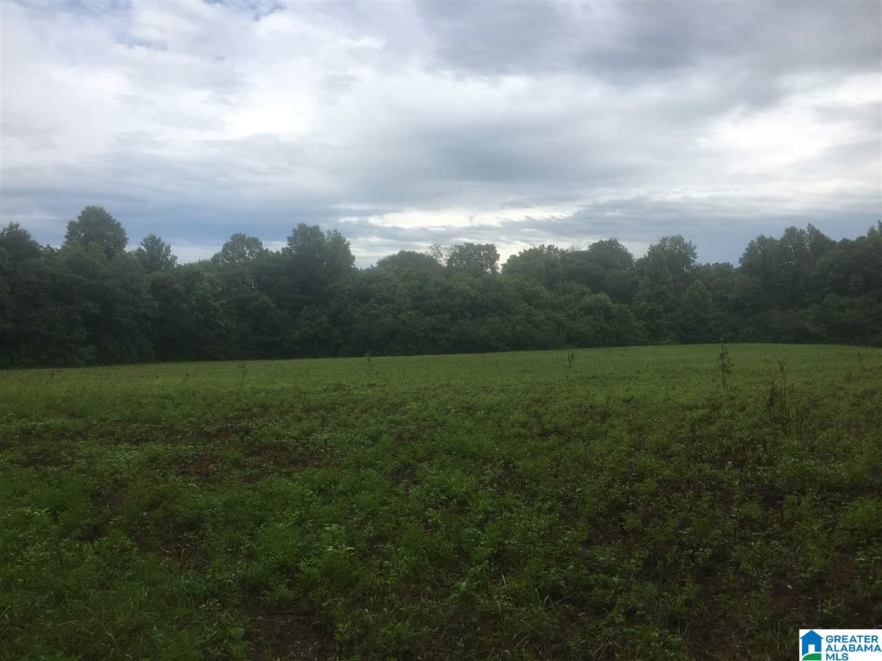 Cold Branch Road, Unit 14 Arab, AL 35016 - Photo 3 of 4