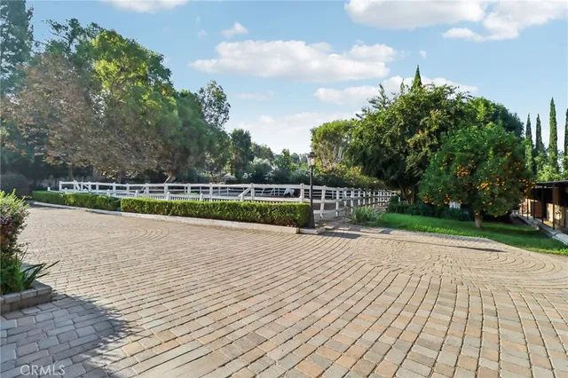 a view of a garden with large tree