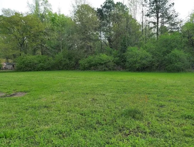 a view of a green field with plants