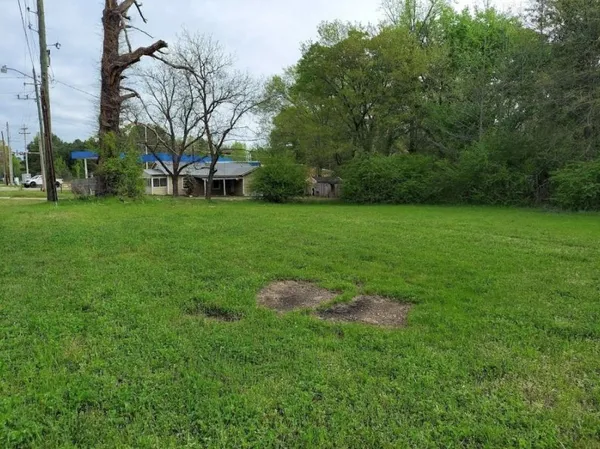 a backyard of a house with lots of green space and fountain
