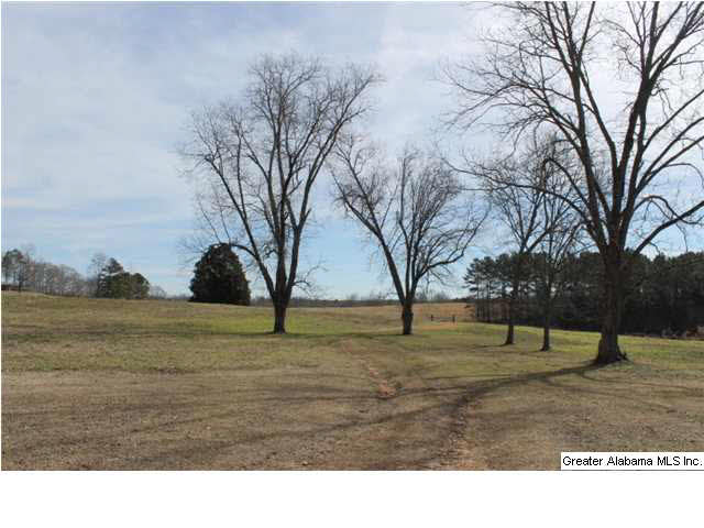 9 Highway 9, Unit 84 Lineville, AL 36266 - Photo 5 of 16