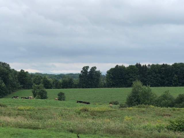 797 Blissville Road Poultney, VT 05764 - Photo 3 of 18