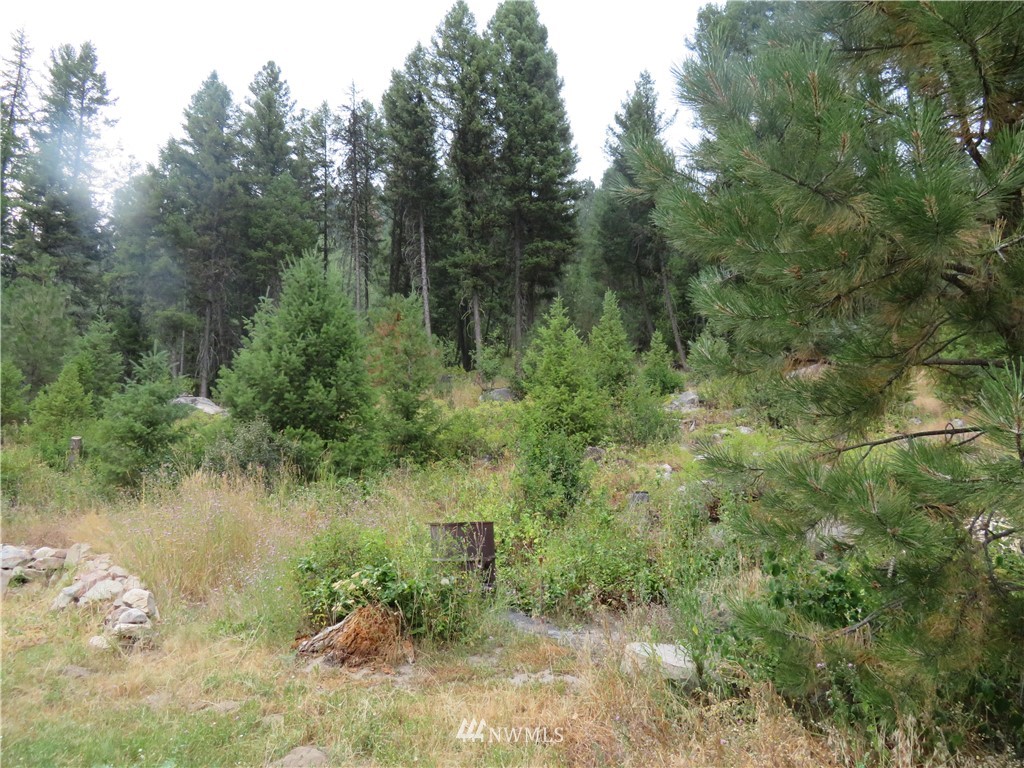 29771 State Rte 20 Republic, WA 99166 - Photo 14 of 16