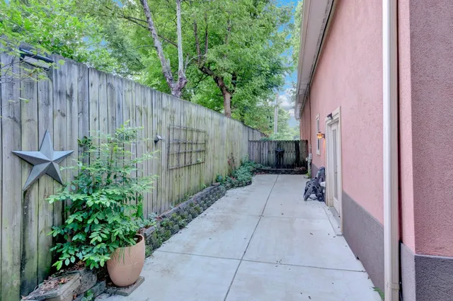 a close up of a flower in a garden
