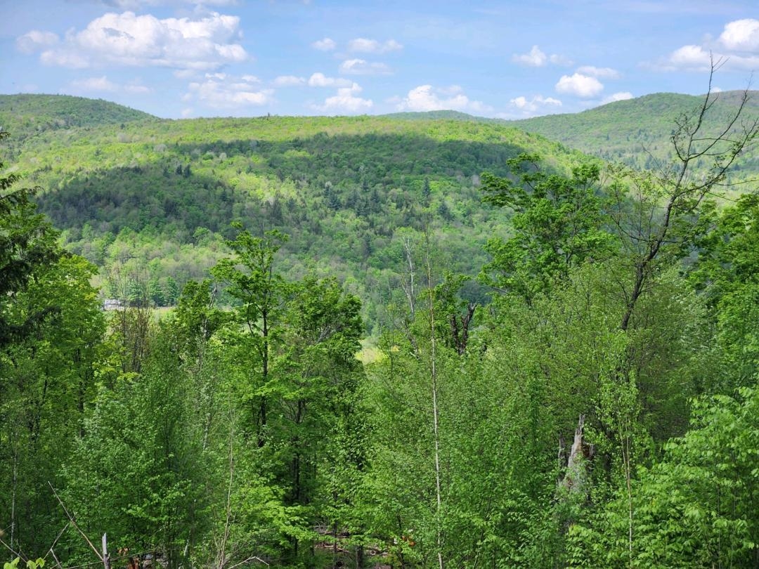 886 Jay Road Richford, VT 05476 - Photo 4 of 8 Gallery Image 4