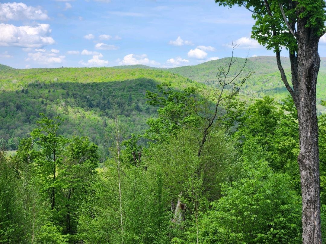 886 Jay Road Richford, VT 05476 - Photo 5 of 8 Gallery Image 5