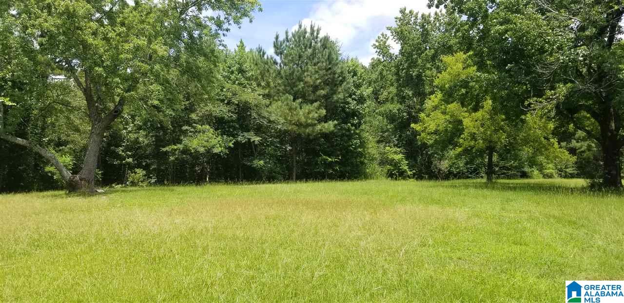 173 Beagle Club Road, Unit 1 2 Empire, AL 35063 - Photo 7 of 20