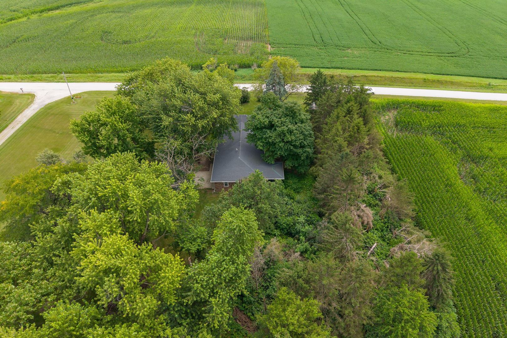 33777 East 500 N Road Chatsworth, IL 60921 - Photo 34 of 49 Gallery Image 34