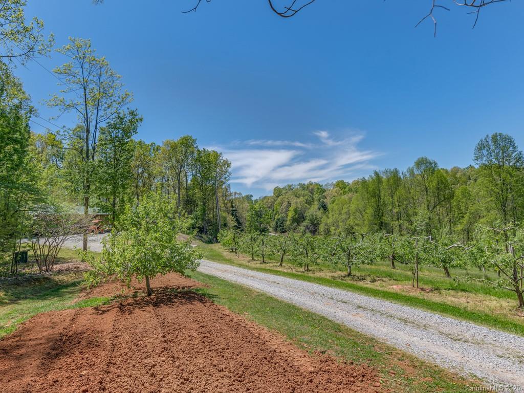 298 Macedonia Church Road Saluda, NC 28773 - Photo 12 of 48 Gallery Image 12