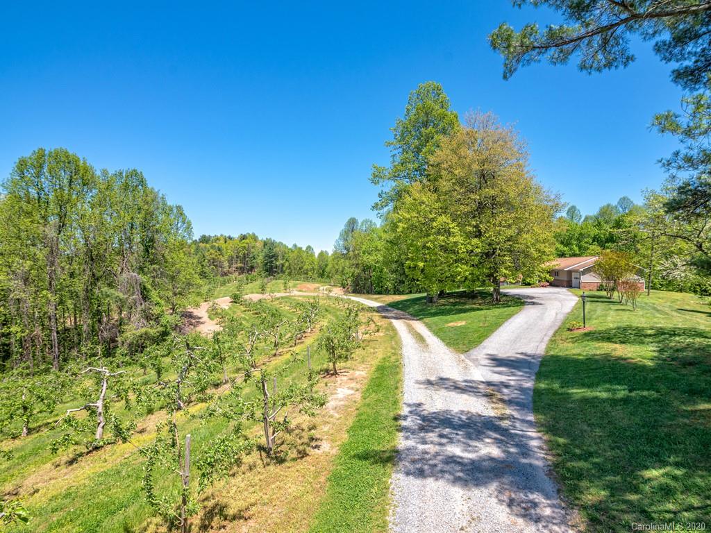 298 Macedonia Church Road Saluda, NC 28773 - Photo 15 of 48 Gallery Image 15
