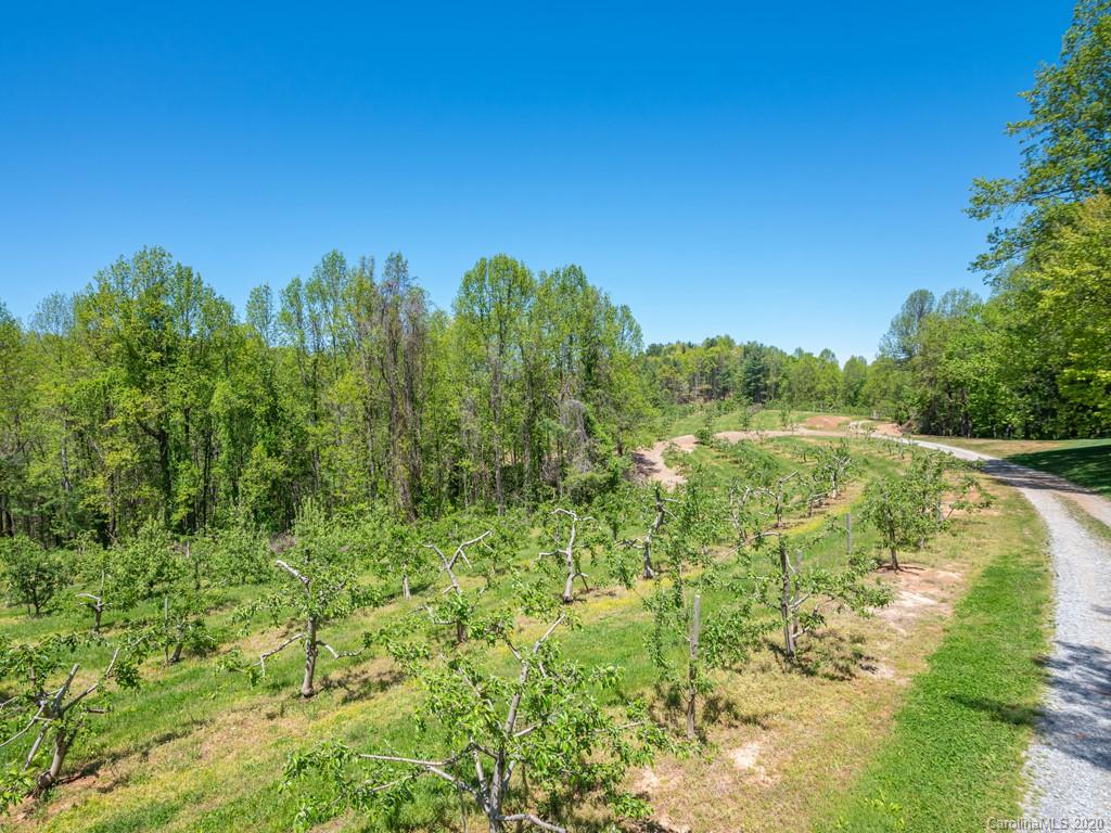 298 Macedonia Church Road Saluda, NC 28773 - Photo 18 of 48 Gallery Image 18