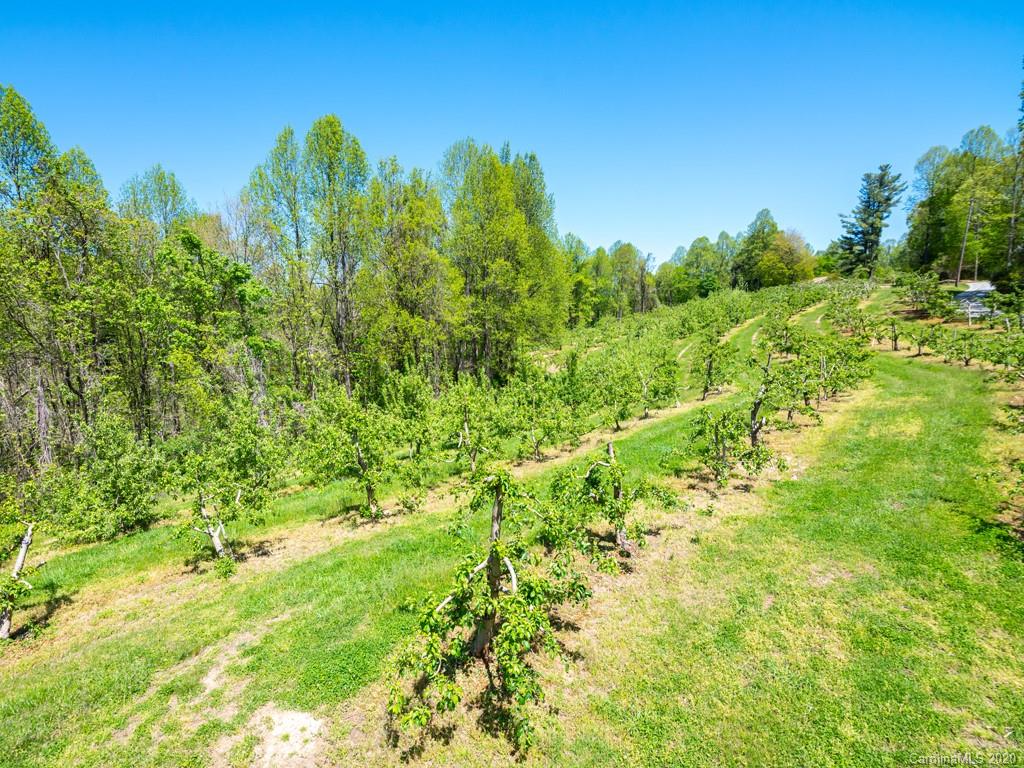 298 Macedonia Church Road Saluda, NC 28773 - Photo 19 of 48 Gallery Image 19