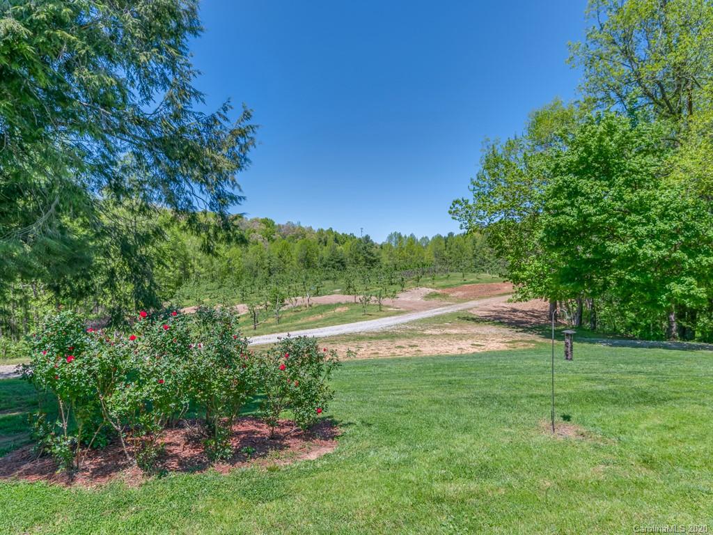 298 Macedonia Church Road Saluda, NC 28773 - Photo 3 of 48 Gallery Image 3