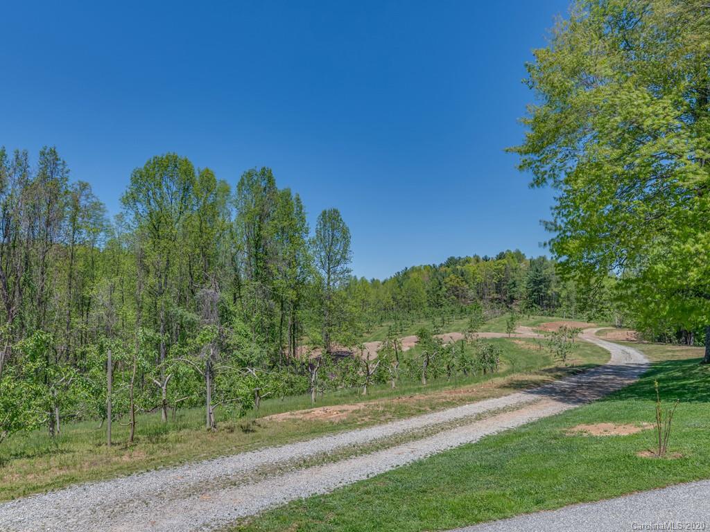 298 Macedonia Church Road Saluda, NC 28773 - Photo 24 of 48 Gallery Image 24
