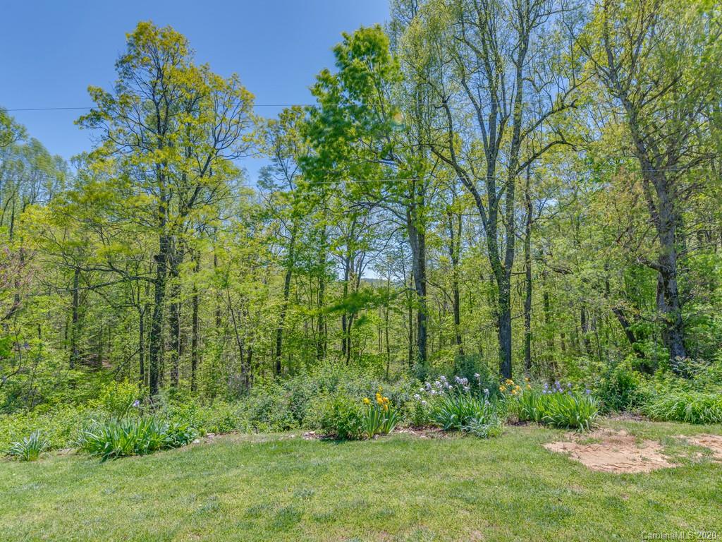 298 Macedonia Church Road Saluda, NC 28773 - Photo 9 of 48 Gallery Image 9