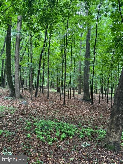 9810 Woodsboro Road Frederick, MD 21701 - Photo 8 of 12