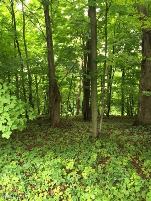 9999 Unionvale Road Cadiz, OH 43907 - Photo 1 of 1 Gallery Image 1