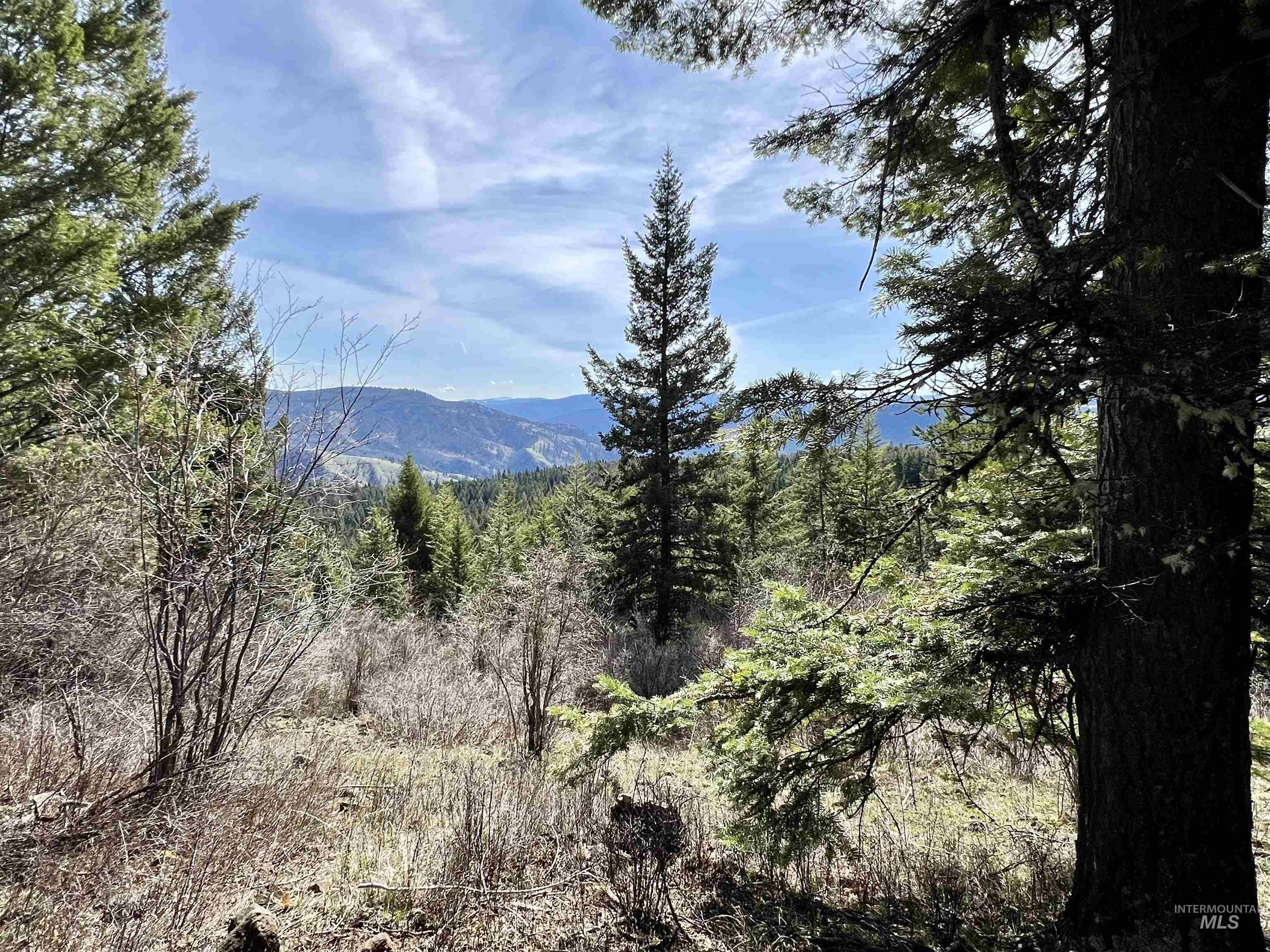 Tbd Tbd Cove Road Grangeville, ID 83530 - Photo 1 of 1 Gallery Image 1