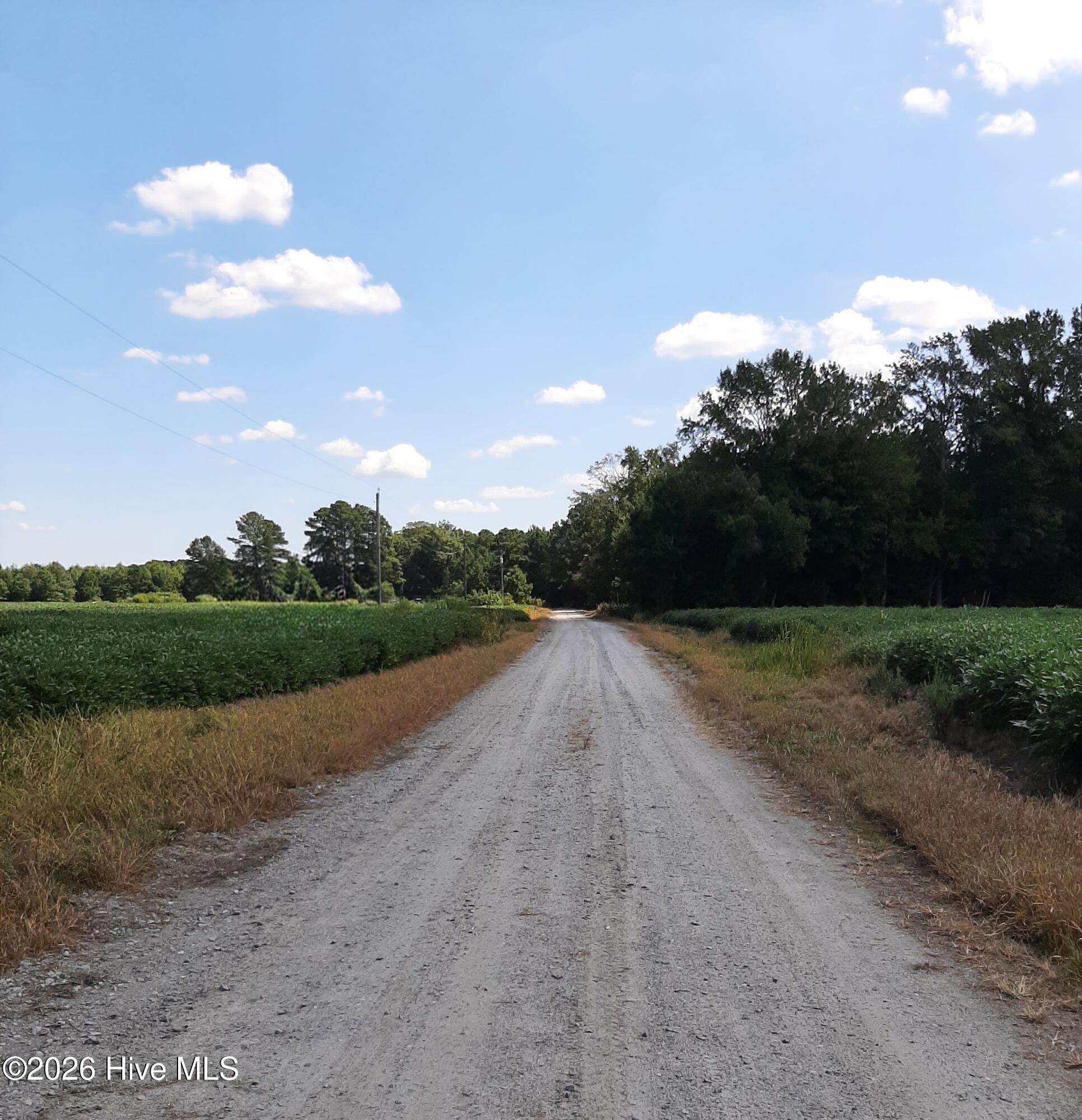 Tbd Gus Town Road Creswell, NC 27928 - Photo 16 of 19 Craddock Lane