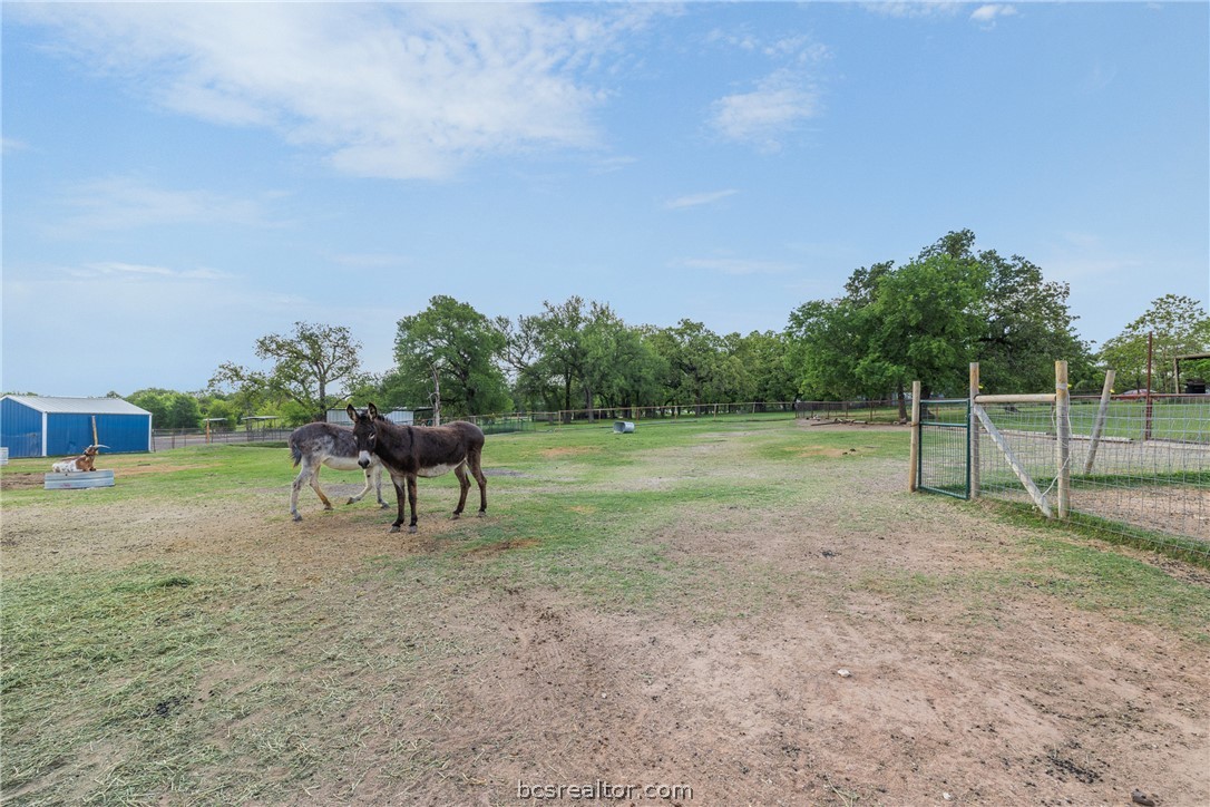 203 Saffle Road Robinson, TX 76706 - Photo 19 of 38