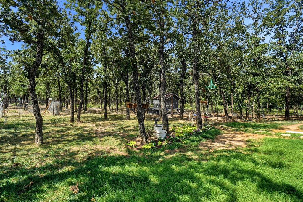 211 Spring Valley Road Paradise, TX 76073 - Photo 13 of 21