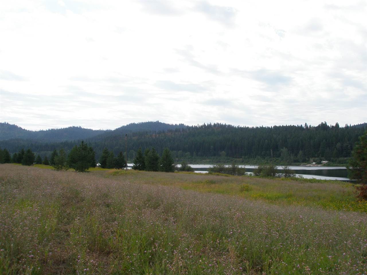 451 Open Skies Road Newport, WA 99156 - Photo 2 of 7 Gallery Image 2