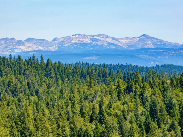 a view of a lush green field with a mountain in the background