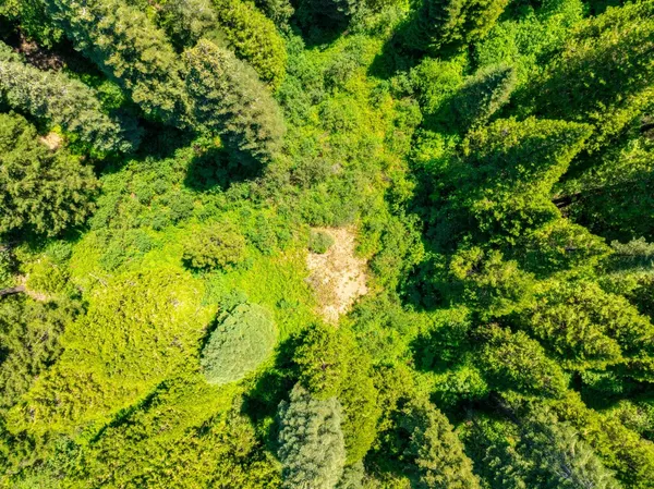 a view of a lake with a mountain