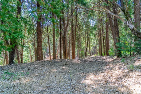 a view of a lush green field with mountains in the background