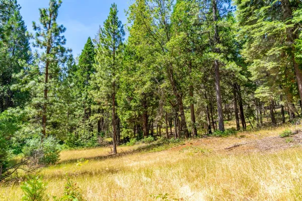 a view of outdoor space and green space
