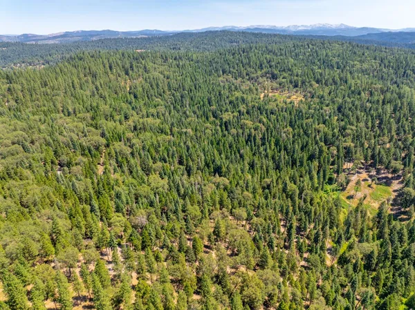 a view of a lush green hillside and a houses