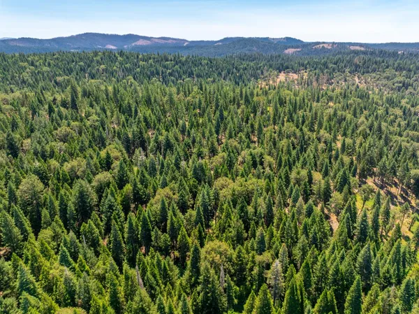a view of an interior of the house